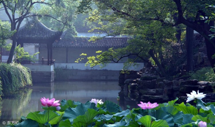 移动电话号码前3位数，暴露了你是什么样的人