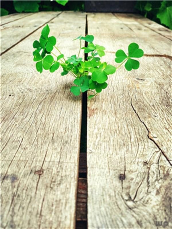 最近微信很火的爱情说说句句精辟洒脱！