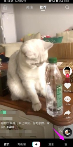 抖音极速版上买东西怎么查订单怎么查不到订单